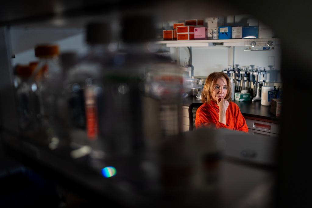 CORRECTS TITLE OF KAPLAN - Dr. Mariana Kaplan, head of systemic autoimmunity research at the National Institute of Arthritis and Musculoskeletal and Skin Diseases at the National Institutes of Health, is photographed during an interview at her lab, Tuesday, Jan. 21, 2025, in Washington. (AP Photo/David Goldman)