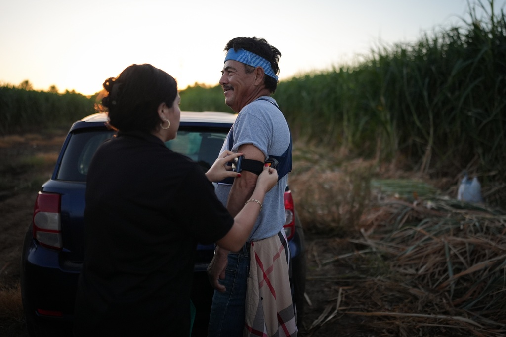 Research assistant Briana Toji straps a wearable heat-stress monitor on farmworker Hipolito Hernandez in a sugarcane field in Niland, Calif., Thursday, Sept. 11, 2025. (AP Photo/Jae C. Hong)