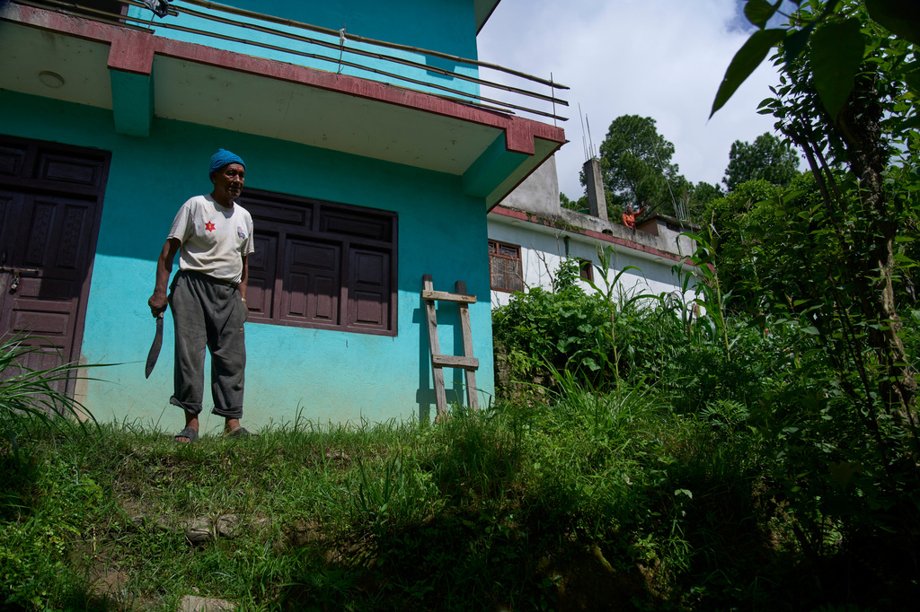 An elderly farmer stands vigil guarding his crop from monkeys in Dharamghar, Dolakha district, about 86 kilometers (53 miles) east of Kathmandu, Nepal, Saturday, July 25, 2026. (AP Photo/Niranjan Shrestha)