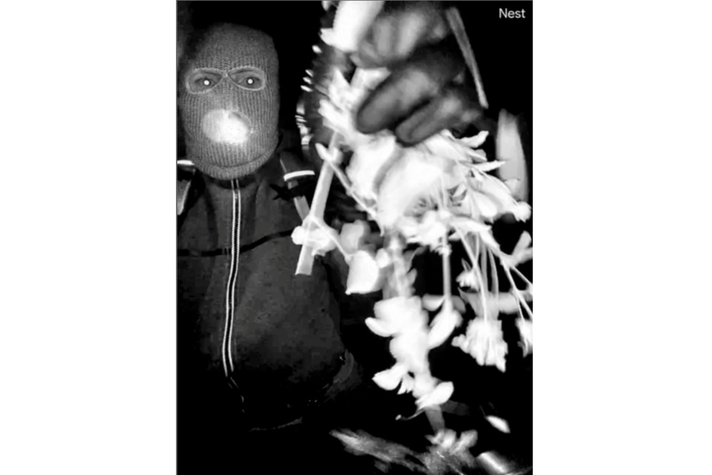 This image provided by the FBI shows surveillance images at the home of Nancy Guthrie the night she went missing in Tucson, Ariz. (FBI via AP)