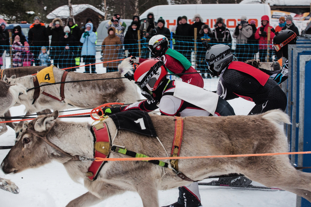 Mushers and reindeer jostle at the start of the Salla Porocup reindeer sprint racing event in Salla, Finland, March 8, 2026. (AP Photo/Aino Vaananen)