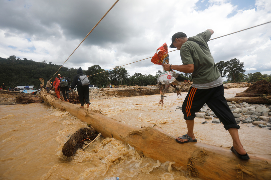 A man holds a chicken as he walks on log used as a makeshift bridge at a village affected by a flash flood in Batang Toru, North Sumatra, Indonesia, Monday, Dec. 1, 2025. (AP Photo/Binsar Bakkara)