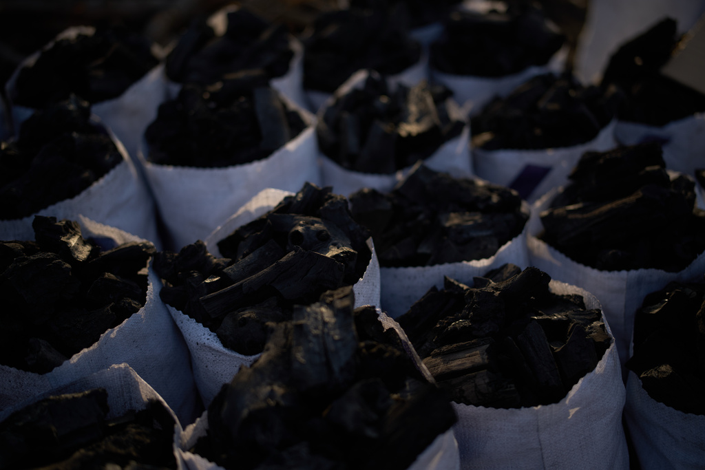 Sacks filled to the brim with charcoal are lined up in rows at a traditional production site in Sarkand, Iraq, Thursday, March 12, 2026. (AP Photo/Leo Correa)