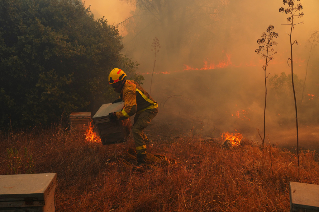 FILE - A firefighter moves beehives away from flames while battling a wildfire in San Martin de Valdeiglesias, west of Madrid, Spain, July 26, 2026. (AP Photo/Manu Fernandez, File)