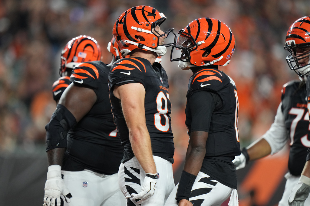 Cincinnati Bengals tight end Tanner Hudson (87) and Cincinnati Bengals quarterback Josh Johnson (11) celebrate after Hudson scored a touchdown during the first half of a preseason NFL football game against the Chicago Bears on Saturday, Aug. 22, 2026, in Cincinnati. (AP Photo/Joshua A. Bickel)