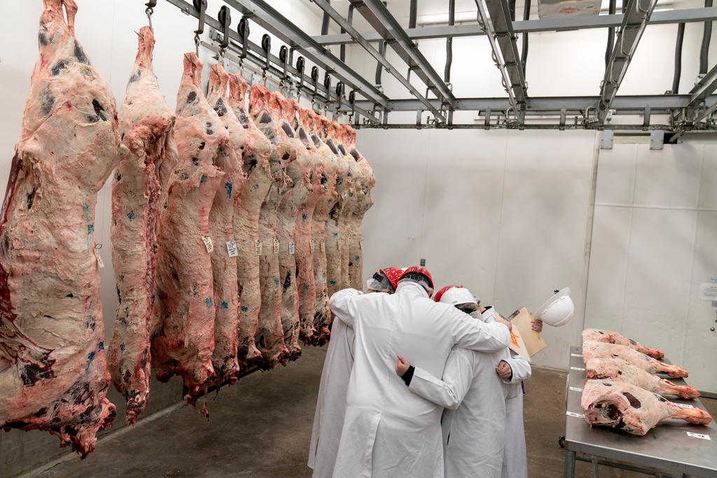 FILE - Team leader Kevin Eschberger, center, huddles his team in prayer next to half cows hanging in a freezer at the conclusion of a youth meat judging competition at Texas A&M University in College Station, Texas, April 22, 2023. (AP Photo/David Goldman, File)