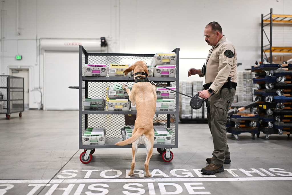 A Sheriff's Deputy and his dog inspect ballots at the L.A. County Ballot Processing Center during the California primary election on Tuesday, June 2, 2026, in City of Industry, Calif. (AP Photo/William Liang)