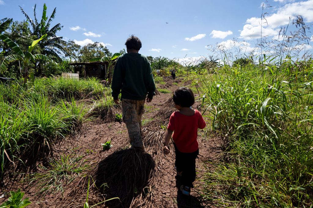 Bok Kongphan, left, walks across his farm with his grandson, Monday, May 4, 2026, in Waialua, Hawaii. (AP Photo/Mengshin Lin)