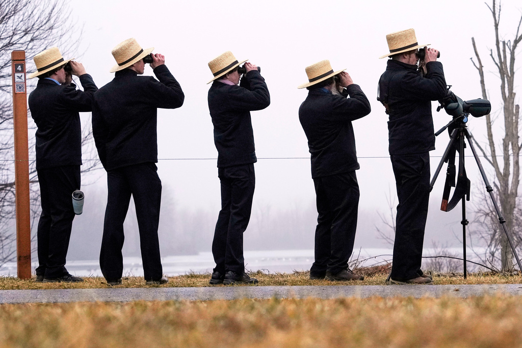 Amish birders focus their binoculars on waterfowl at Middle Creek Wildlife Management Area, Saturday, March 7, 2026, in Kleinfeltersville, Pa. (AP Photo/Robert F. Bukaty)