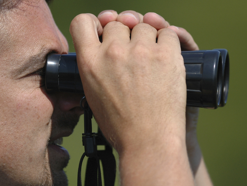 FILE - Jim Rapp, director of Delmarva Low-Impact Tourism Experiences, looks for birds through binoculars, Aug. 15, 2007 in Girdletree, Md. (AP Photo/Matthew S. Gunby, file)