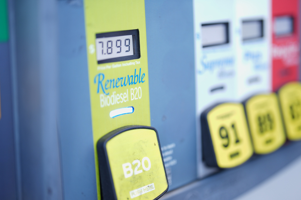 FILE -Diesel prices are displayed at a gas station Thursday, Sept. 10, 2026, in Carlsbad, Calif. (AP Photo/Gregory Bull, File)