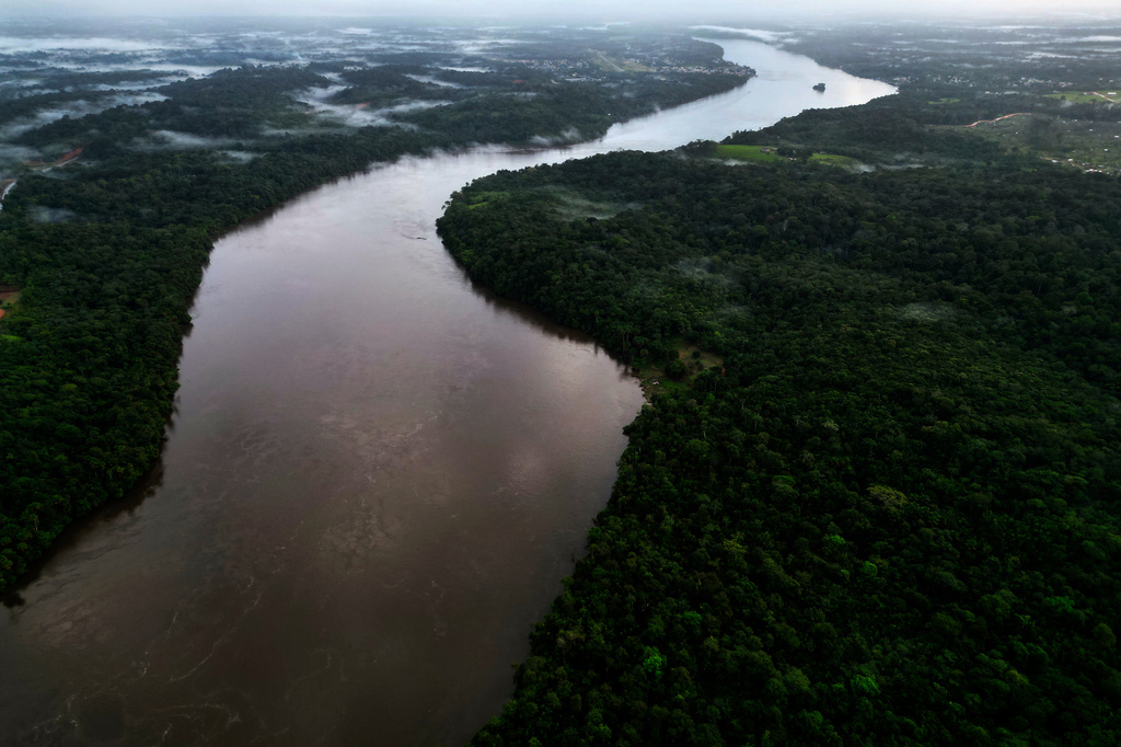 Trees line the Oiapoque River on the border between Brazil and French Guiana, in Oiapoque, Amapa state, Brazil, Tuesday, March 10, 2026. (AP Photo/Eraldo Peres)