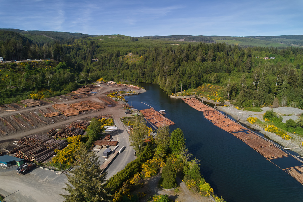 Logs float on the water in Jordan River, British Columbia, Wednesday, May 27, 2026. (AP Photo/Annika Hammerschlag)