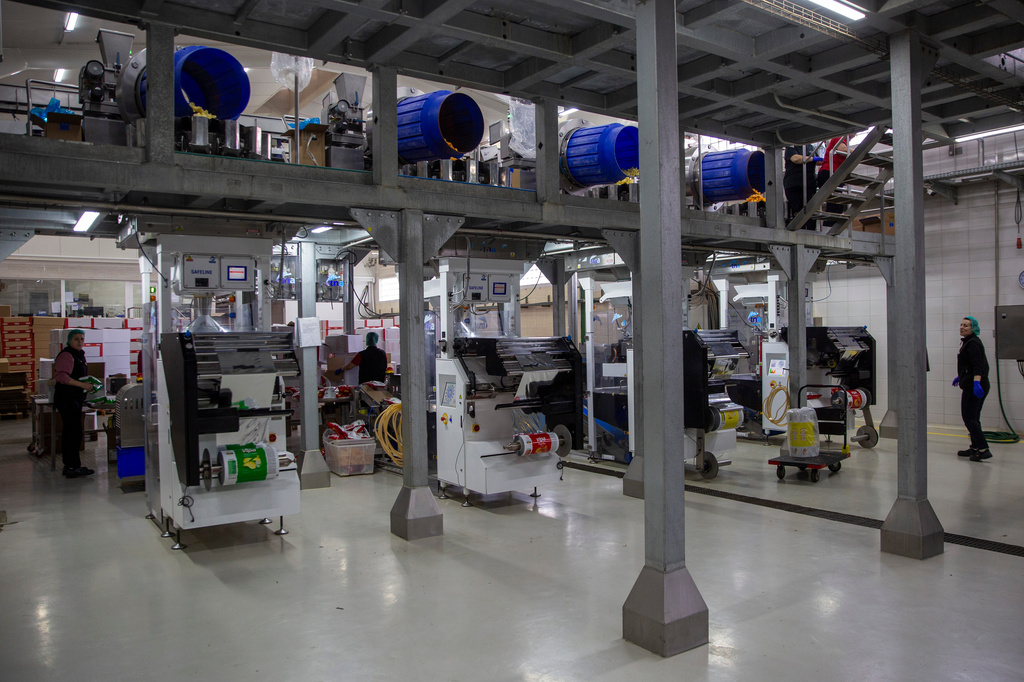 Workers are seen at production line of Vipa Chips factory in the village of Pestove, Kosovo on March 26, 2026. (AP Photo/Visar Kryeziu)