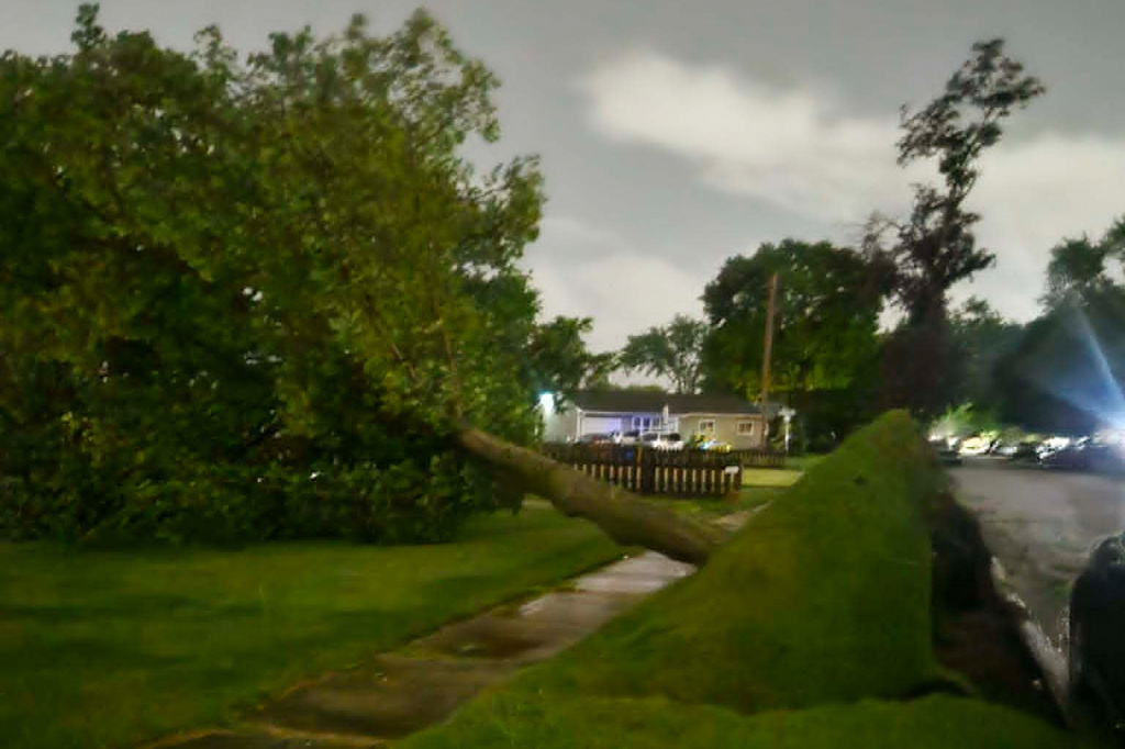 A fallen tree is seen in Elkhart, Ind., Thursday, June 11, 2026, following a severe weather system in the area. (Jennifer Hall via AP)