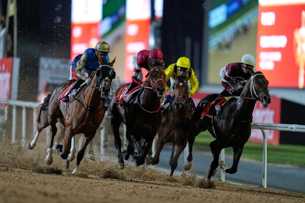 Magnitude, right, with jockey Jose Ortiz, leads the field into a turn after the start on they way to winning the $12 million Dubai World Cup horse race over 2000m (10 furlongs) at Meydan Racecourse in Dubai, the United Arab Emirates, Saturday, March 28, 2026. (AP Photo/Altaf Qadri)