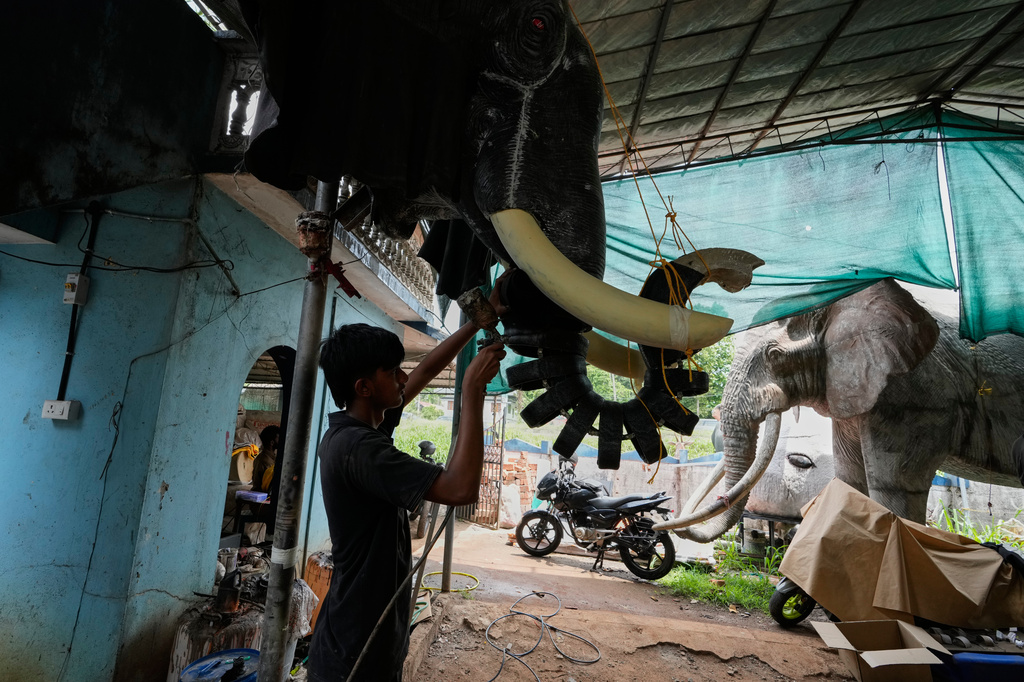 A worker sprays a chemical on the trunk of a robotic elephant at a backyard workshop in Chalakudy, in the southern Indian state of Kerala, Friday, May 22, 2026. (AP Photo/Aijaz Rahi)