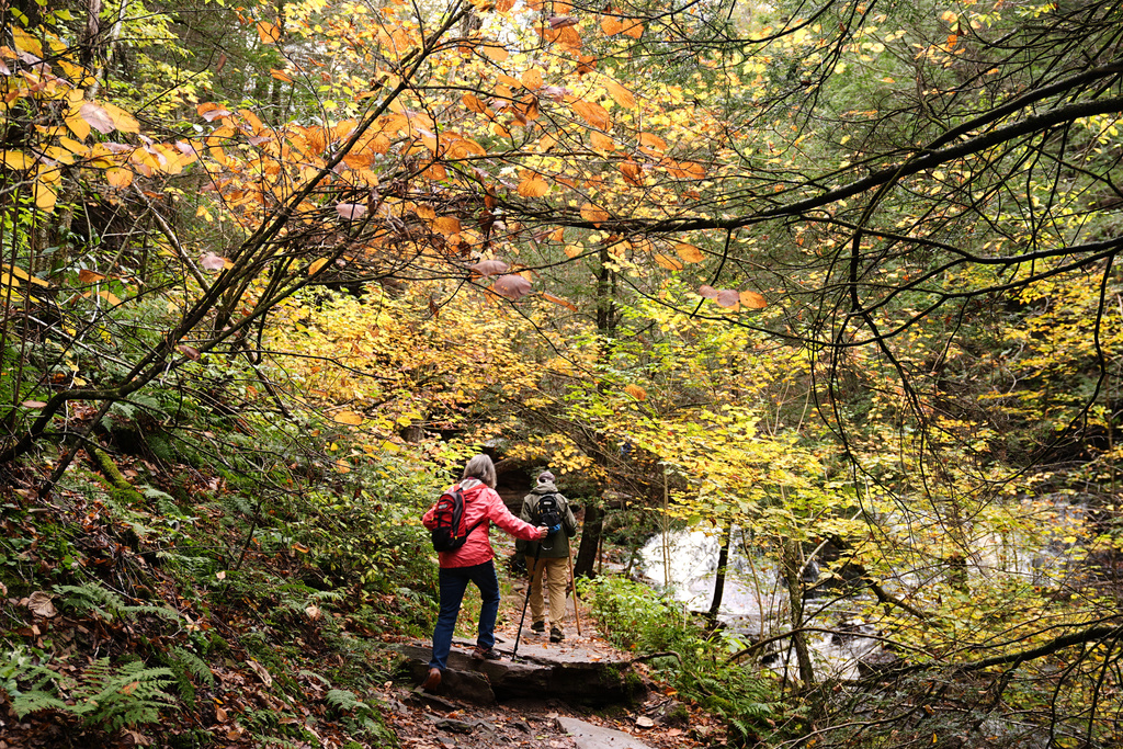 Hikers move amongst the fall foliage at Ricketts Glen State Park in Benton, Pa., Tuesday, Oct. 14, 2025. (AP Photo/Matt Rourke)