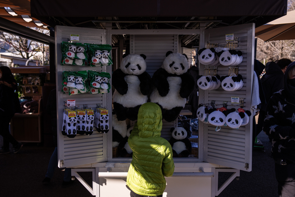 Visitors browse through panda-themed items at a souvenir store in Ueno Zoo in Tokyo, Sunday, Jan. 25, 2026. (AP Photo/Louise Delmotte)