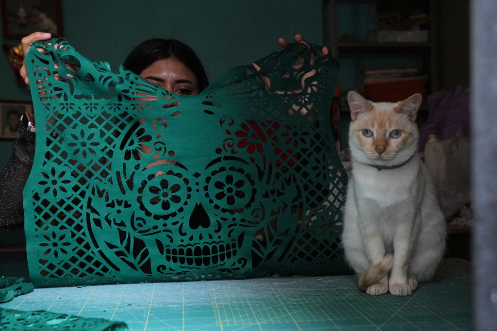 Cande Martinez prepares soccer jerseys inspired by papel picado and traditional folk art, alongside her cat Nube in Cuautitlán Izcalli, Mexico, Monday, May 25, 2026. (AP Photo/Marco Ugarte)