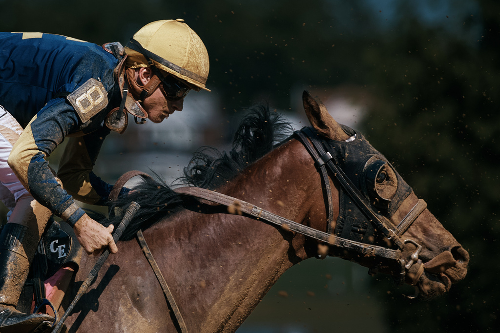 Jockey Christopher Elliott guides his horse Run Quiet Run Fast during a race on closing day at Aqueduct Racetrack in the Queens borough of New York, Sunday, June 28, 2026. (AP Photo/Andres Kudacki)