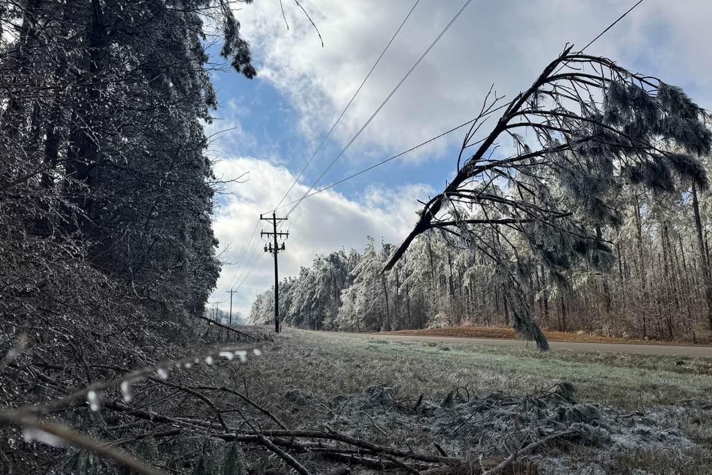 A tree limb dangles from a power line near Lexington, Miss., Tuesday, Jan. 27, 2026. (AP Photo/Sophie Bates)