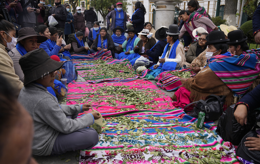 FILE - People sit around blankets covered with coca leaves as they mark the National Day of Chewing Coca Leaf in La Paz, Bolivia, Jan. 11, 2022. (AP Photo/Juan Karita, File)