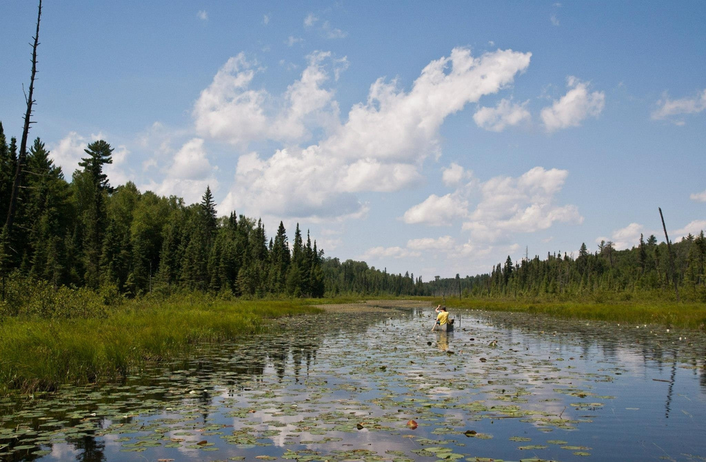 FILE- In this undated photo provided by Minnesota Public Radio on Sept. 2, 2016, canoeists navigate the Pocket River in the Boundary Waters Canoe Area Wilderness near Ely, Minn. (Nathaniel Minor/Minnesota Public Radio via AP, File)/Minnesota Public Radio via AP)