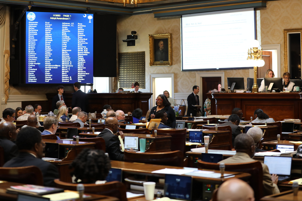 The South Carolina House chamber is seen as debate on a redistricting session begins on Friday, May 15, 2026, in Columbia, S.C. (AP Photo/Jeffrey Collins).