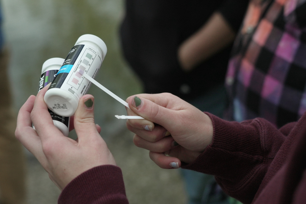 A Drake University student holds a phosphate test strip after sampling water from a stream Wednesday, May 6, 2026, in Des Moines, Iowa. (AP Photo/Brittany Peterson)