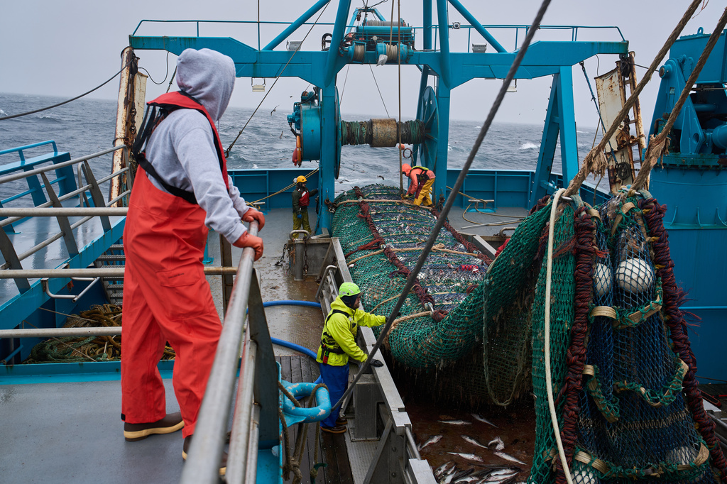 Crew members haul in a catch aboard the F/V Progress in the Bering Sea off the coast of Alaska, Wednesday, July 22, 2026. (AP Photo/Annika Hammerschlag)