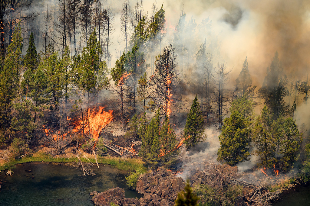 The Bench fire burns along the banks of the Deschutes River on Saturday, July 25, 2026, in Jefferson County, Ore. (AP Photo/Noah Berger)