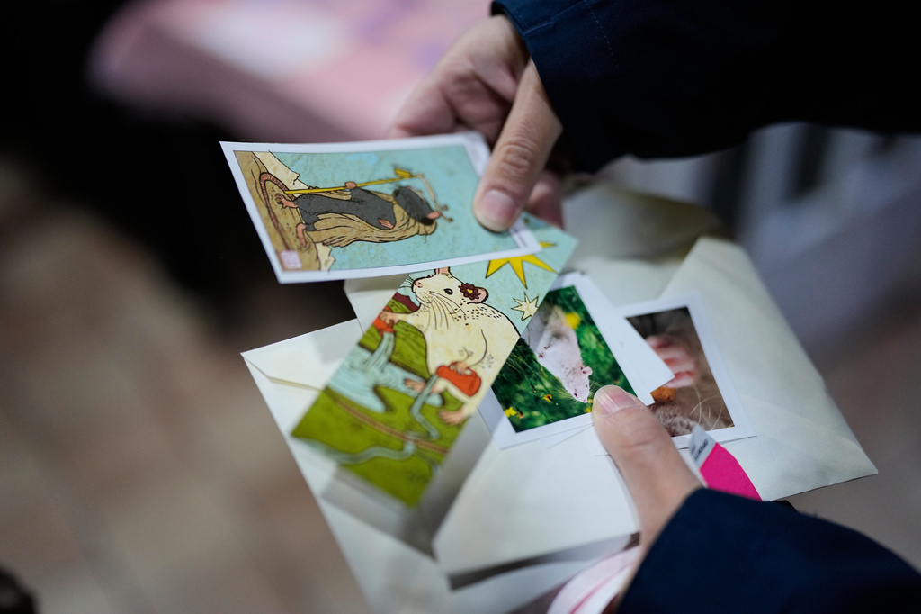 Visitors look at photos of rats during Ratapalooza, an event promoting the adoption and responsible care of former laboratory rats and mice, in Buenos Aires, Argentina, Sunday, May 17, 2026. (AP Photo/Natacha Pisarenko)