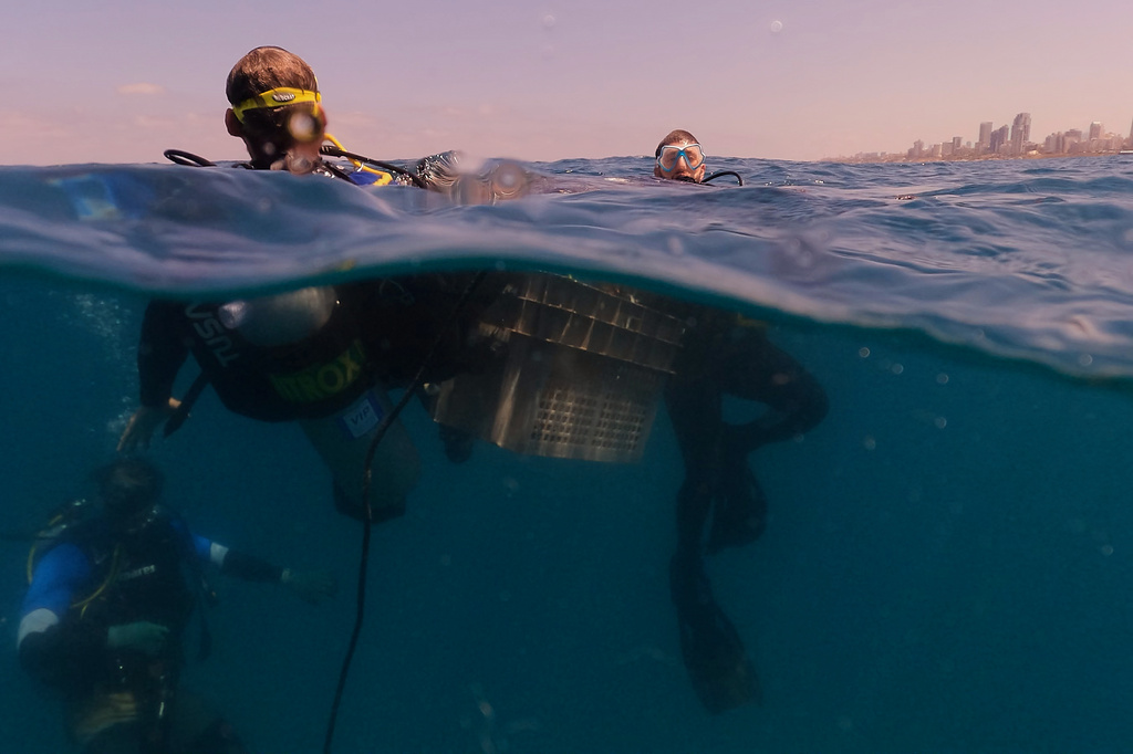 Divers descend to place mock munitions on the floor of the Mediterranean Sea off the coast of Rishon LeZion, Israel, Sunday, June 21, 2026. (AP Photo/Ariel Schalit)