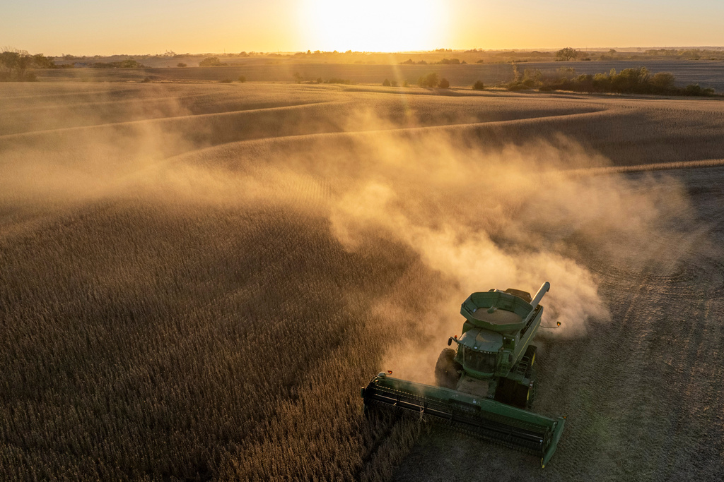 Rodney Egger harvests soybeans with a combine on Wednesday, Oct. 22, 2025, south of Lincoln, Neb. (Arthur H. Trickett-Wile/Lincoln Journal Star via AP)