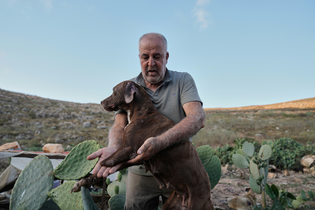 Hussein Hamza, carries a dog missing a limb, and left behind by his owners after they fled following the outbreak of the latest Israel-Hezbollah war, at his animal shelter in the village of Kfaroue, near Nabatiyeh, southern Lebanon, Thursday, July 2, 2026. (AP Photo/Bilal Hussein)