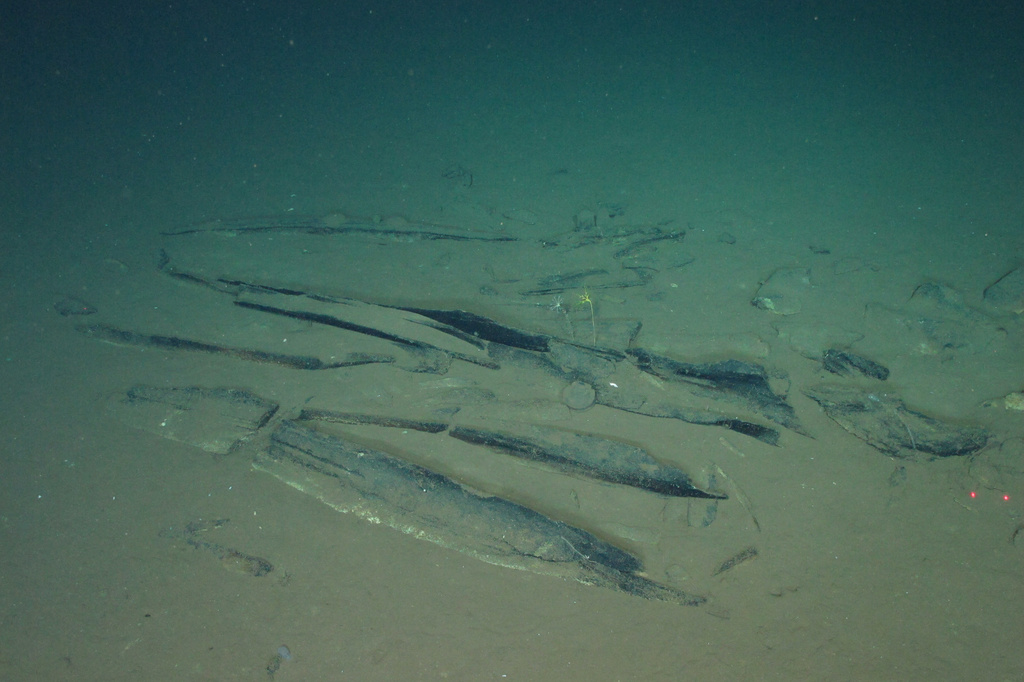 This undated image provided by Peng Zhou shows newly-discovered fossilized whale bones at a site deep underwater, southeastern Indian Ocean, in the Diamantina Fracture Zone. (Global TREnD, IDSSE via AP)