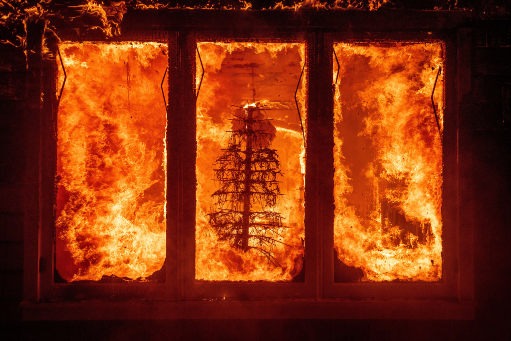 FILE - The Palisades Fire burns a Christmas tree inside a residence in the Pacific Palisades neighborhood of Los Angeles, Jan. 7, 2025. (AP Photo/Ethan Swope, File)