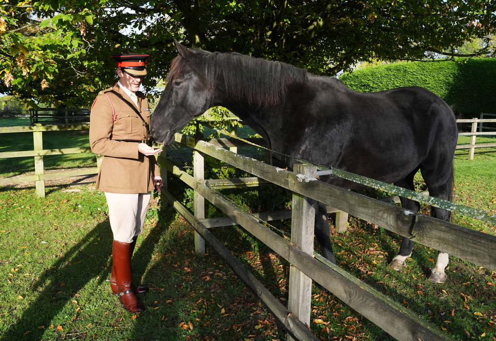 Life Guard Squadron Leader Major Tom Stewart says goodbye to Household Cavalry horse Quaker as he begins his retirement at The Horse Trust sanctuary, Thursday , Oct. 9, 2025, in Princes Risborough, Buckinghamshire, England. (Jonathan Brady/PA via AP)