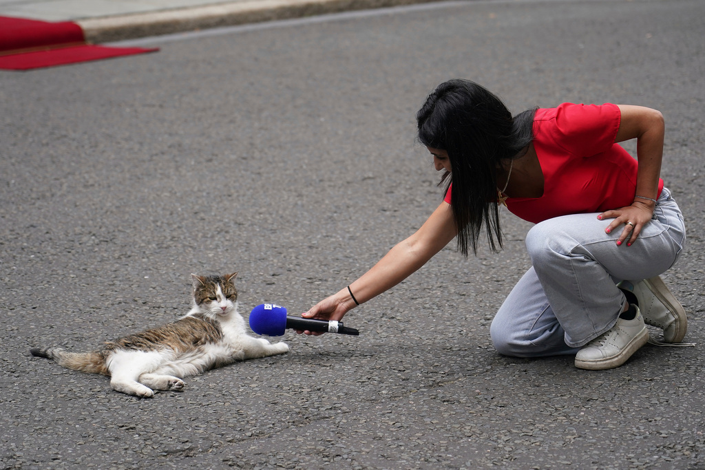 FILE - A reporter points their microphone at Larry the Cat, Chief Mouser to the Cabinet Office, as Britain's Prime Minister Keir Starmer meets French President Emmanuel Macron at 10 Downing Street in London, Wednesday, July 9, 2025. (AP Photo/Alberto Pezzali, File)