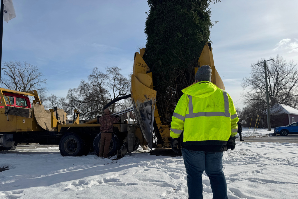 This photo provided by WXYZ-TV shows a Norway spruce tree being transplanted at city hall in Dearborn Heights, Mich, Monday, Dec. 8, 2025. (WXYZ-TV via AP)