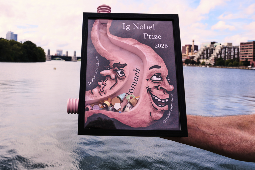 An 2025 Ig Nobel award, one of many that will be awarded by the Annals of Improbable Research magazine for silly sounding scientific discoveries that often have surprisingly practical applications, is displayed, Wednesday, Sept. 17, 2025, in Boston. (AP Photo/Charles Krupa)