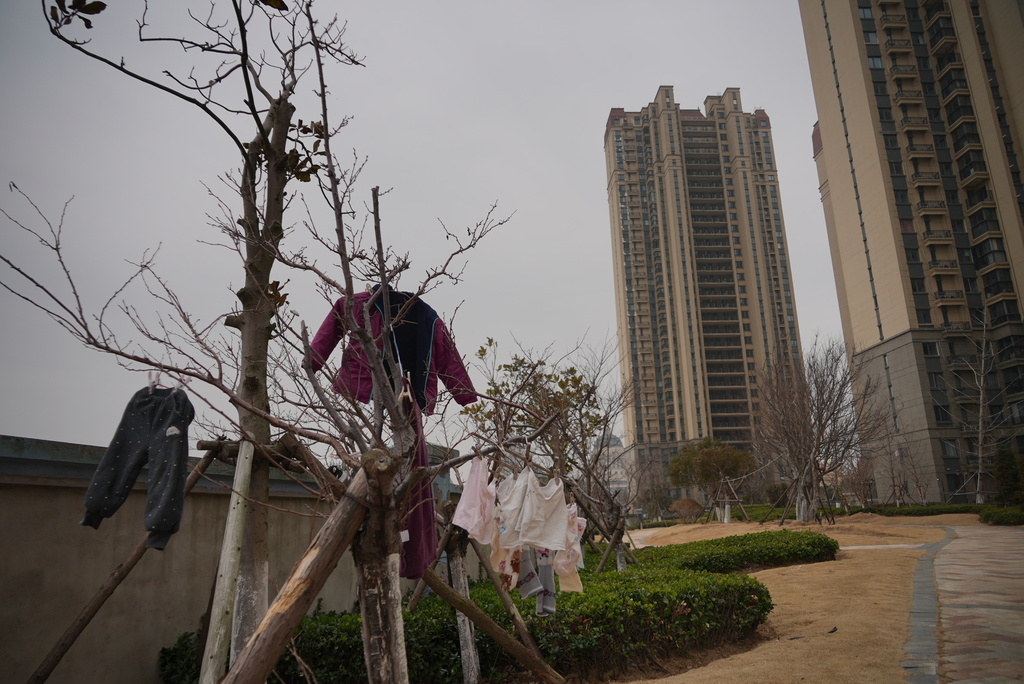 Laundry hangs on trees at the semi-abandoned "Life in Venice" housing complex in Qidong, on China's east coast, Feb. 5, 2026. (AP Photo/Dake Kang)