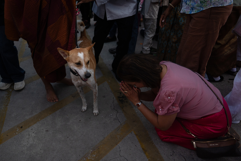 A woman bows as she greets Bhikkhu Pannakara, a Buddhist monk who led the 2,300-mile Walk for Peace from Fort Worth, Texas, to Washington, D.C., and his dog, Aloka, at an event at Wat Thai of Los Angeles in the North Hollywood section of Los Angeles, Monday, July 13, 2026. (AP Photo/Jae C. Hong)