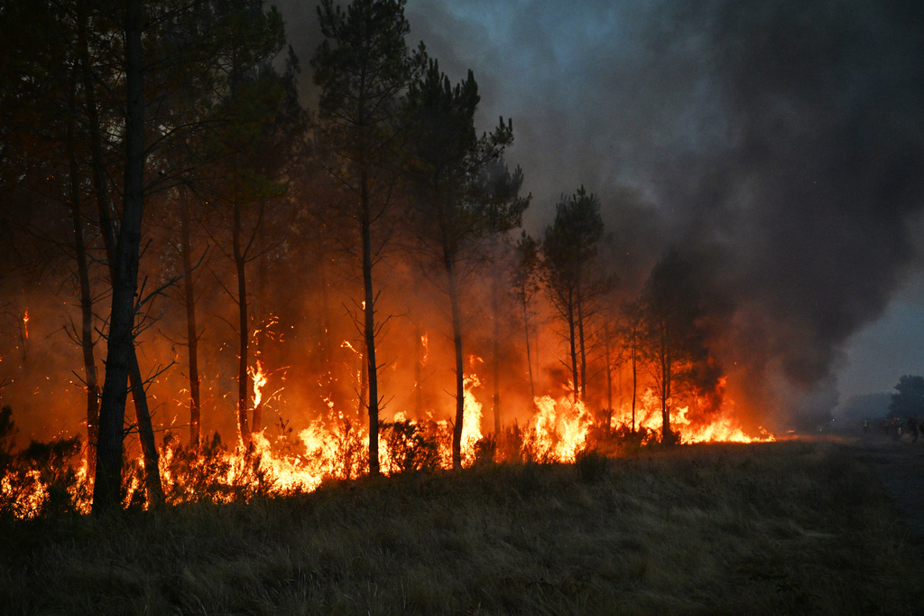 Trees bur as a wildfire rages near Marcheprime, outside, Bordeaux, France, Sunday, July 26, 2026. (AP Photo/Emma Da Silva)