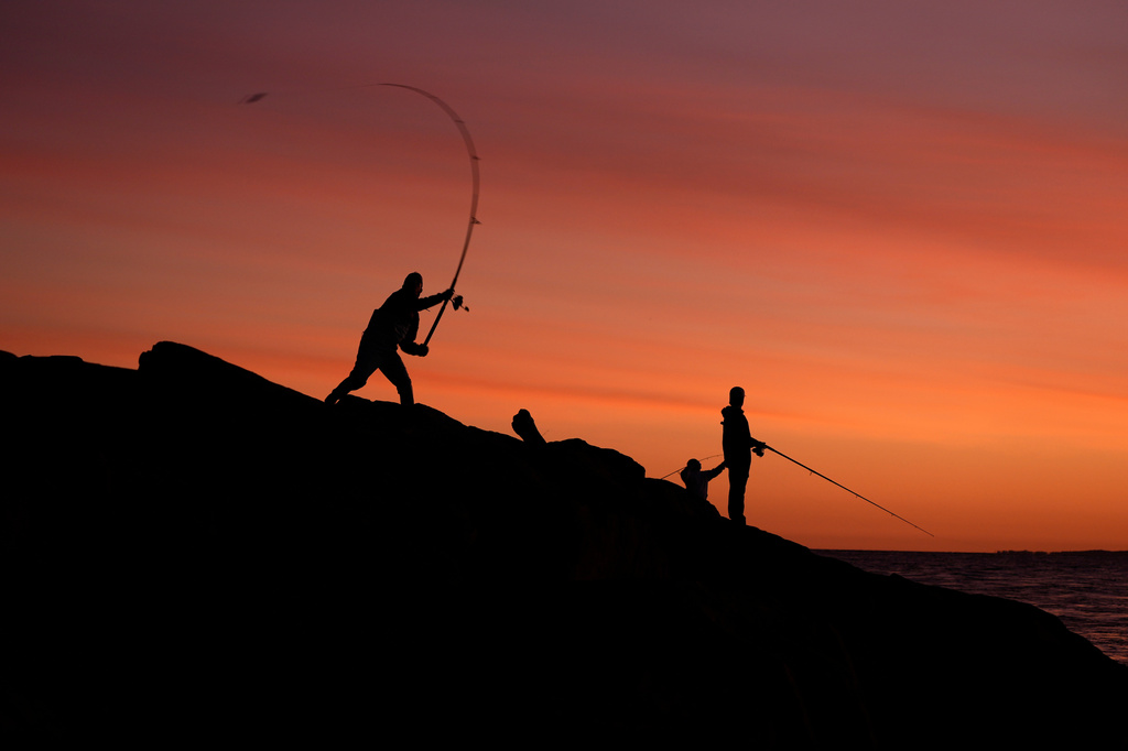 A striped bass fisherman casts his lure at dawn Saturday, Oct. 10, 2026, in Montauk, N.Y. (AP Photo/Robert F. Bukaty)