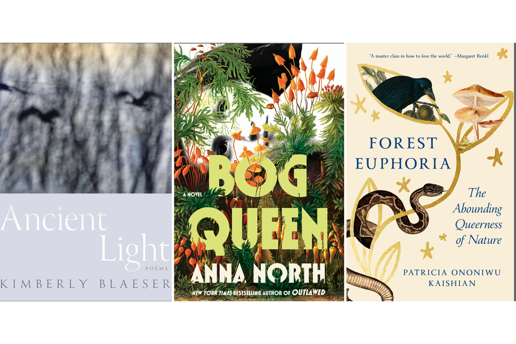 This combination of images shows cover art for "Ancient Light" by Kimberly Blaeser, left, "Bog Queen" by Anna North, center, and "Forest Euphoria: The Abounding Queerness of Nature" by Patricia Ononiwu Kaishian. (University of Arizona Press/Bloomsbury Publishing/Spiegel & Grau via AP)