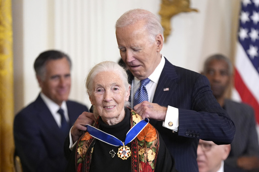 FILE - President Joe Biden, right, presents the Presidential Medal of Freedom, the Nation's highest civilian honor, to conservationist Jane Goodall in the East Room of the White House, Jan. 4, 2025, in Washington. (AP Photo/Manuel Balce Ceneta, File) FILE - President Joe Biden, right, presents the Presidential Medal of Freedom, the Nation's highest civilian honor, to conservationist Jane Goodall in the East Room of the White House, Jan. 4, 2025, in Washington. (AP Photo/Manuel Balce Ceneta, File)