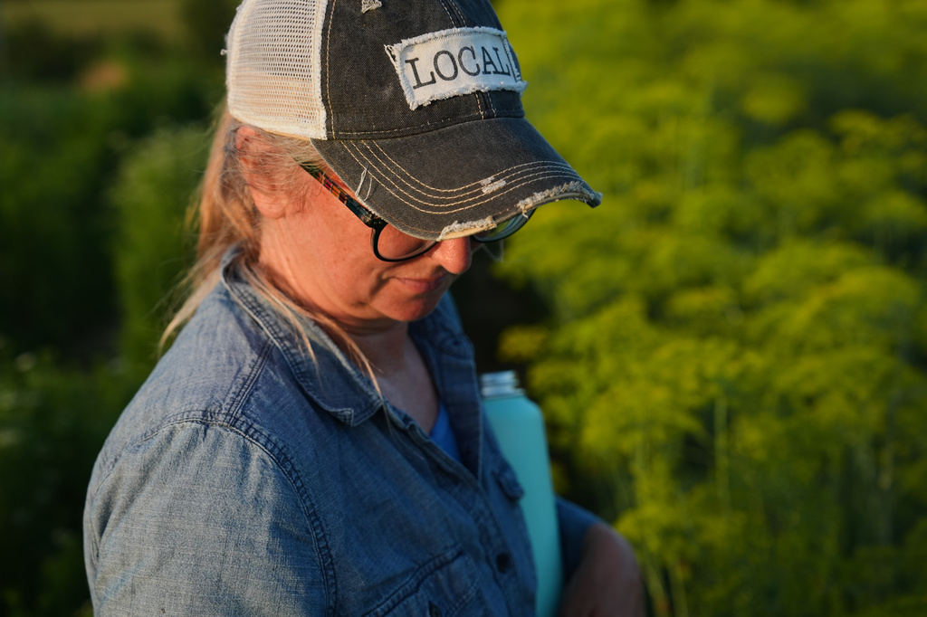 Annie Woods inspects herbs while harvesting Wednesday, July 1, 2026, at her farm in Brooksville, Ky. (AP Photo/Joshua A. Bickel)