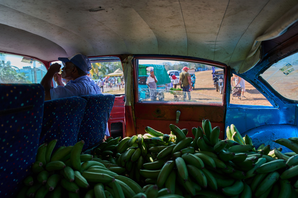 FILE - A vendor sits in the passenger seat of an American classic car, its back seat filled to the brim with bananas, while waiting for customers at a produce fair in Alamar, Havana province, Cuba, May 2, 2026. (AP Photo/Ramon Espinosa, File)